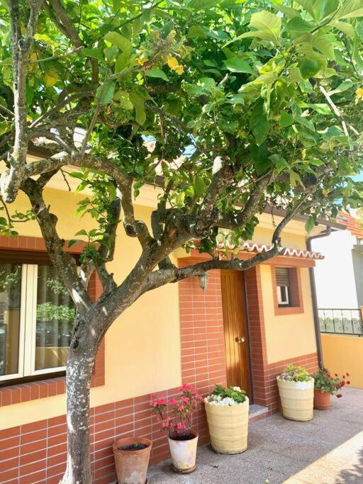 Top Beach House Costa da Caparica Exterior photo